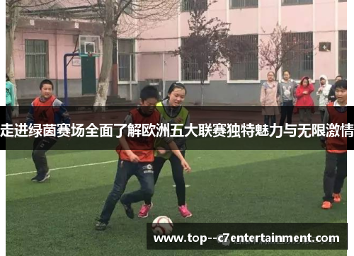 走进绿茵赛场全面了解欧洲五大联赛独特魅力与无限激情 走进绿茵赛场全面了解欧洲五大联赛独特魅力与无限激情