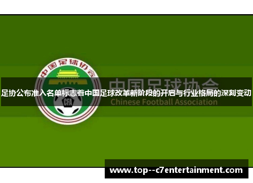 足协公布准入名单标志着中国足球改革新阶段的开启与行业格局的深刻变动